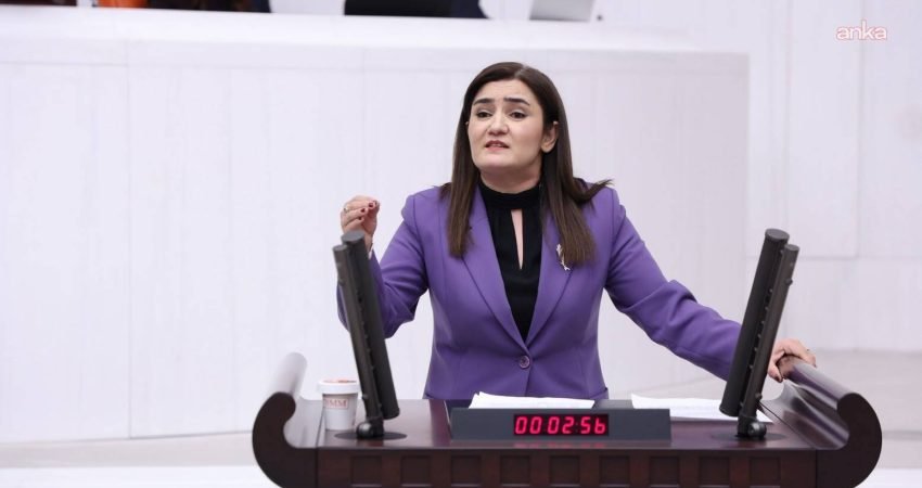 CHP İzmir Milletvekili Sevda Erdan Kılıç, AK Parti'nin verdiği yasa