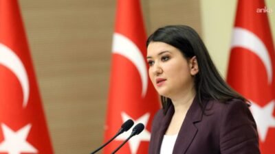 CHP İzmir Milletvekili Gökçe Gökçen, komedyen Deniz Göktaş'ın gözaltına alınmasına