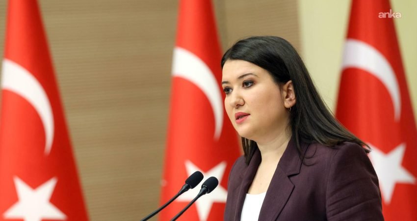 CHP İzmir Milletvekili Gökçe Gökçen, komedyen Deniz Göktaş'ın gözaltına alınmasına