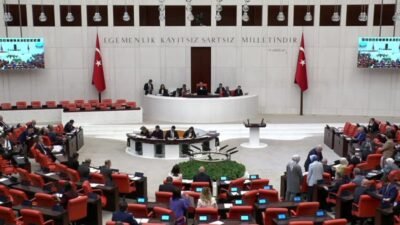 CHP Osmaniye Milletvekili Asu Kaya, Ayşe Tokyaz cinayetine ilişkin davaya