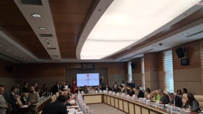 CHP İstanbul Milletvekili Suat Özçağdaş, TBMM Milli Eğitim, Kültür, Gençlik
