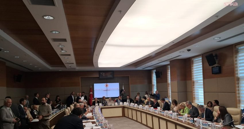 CHP İstanbul Milletvekili Suat Özçağdaş, TBMM Milli Eğitim, Kültür, Gençlik