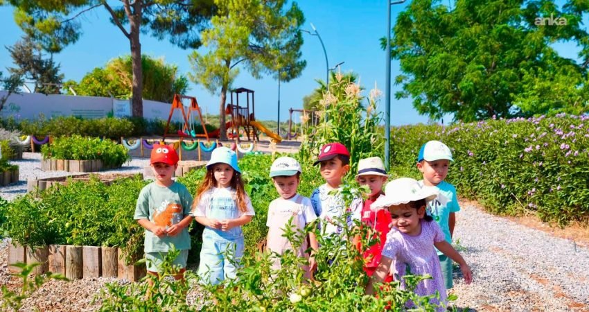 Didim Belediyesi Tarım Parkı'nda düzenlenen hasat etkinliğine katılan çocuklar, belediyenin