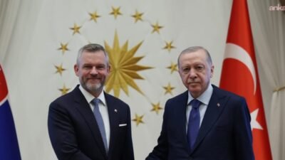Cumhurbaşkanı Recep Tayyip Erdoğan, NATO Liderler Zirvesi kapsamında Ankara'da bulunan