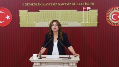 DEM Parti Grup Başkanvekili Gülistan Kılıç Koçyiğit, AK Parti'nin süreçle