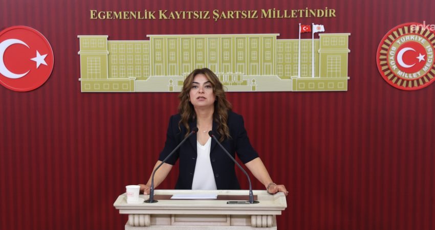 DEM Parti Grup Başkanvekili Gülistan Kılıç Koçyiğit, AK Parti'nin süreçle