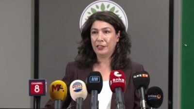 DEM Parti Kadın Meclis Sözcüsü Halide Türkoğlu, haziran ayında 29 kadının