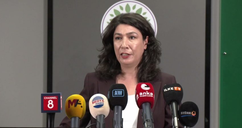 DEM Parti Kadın Meclis Sözcüsü Halide Türkoğlu, haziran ayında 29 kadının