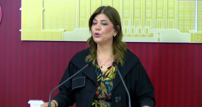 DEM Parti Erzurum Milletvekili Meral Danış Beştaş, Türkiye'de çocuk yoksulluğunun