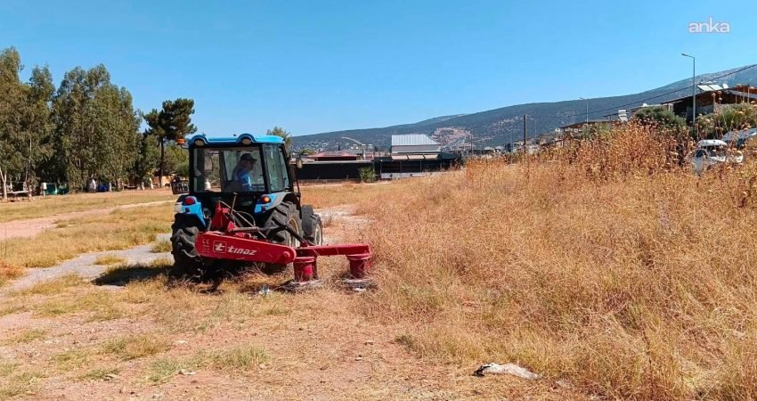 Didim Belediyesi, ilçe genelinde parklar, yeşil alanlar ve ortak kullanım