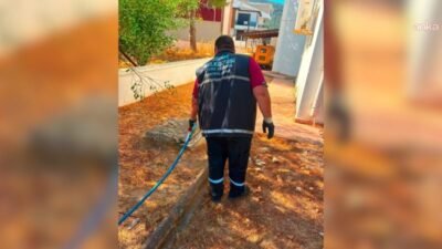 Didim Belediyesi, yaz aylarında artış gösteren sivrisinek ve haşereye karşı