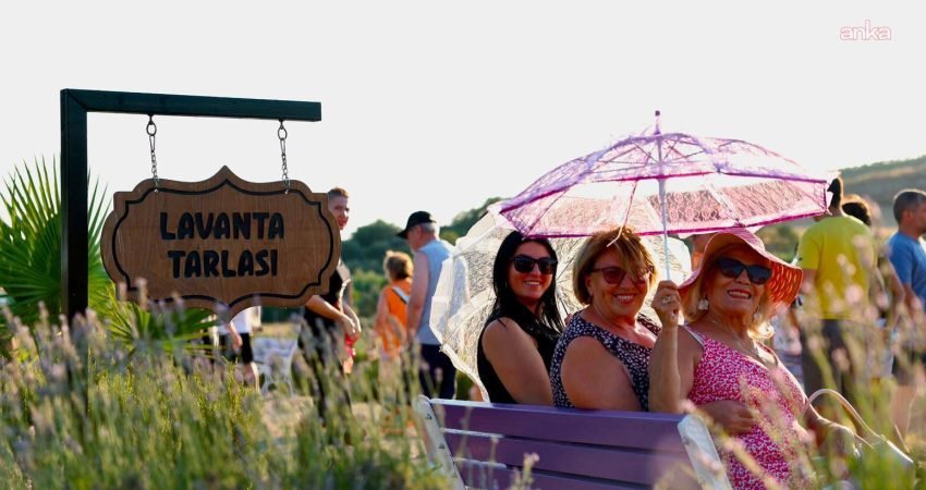 Didim Belediyesi'nin düzenlediği Lavanta ve Aromaterapi Festivali, üç gün boyunca