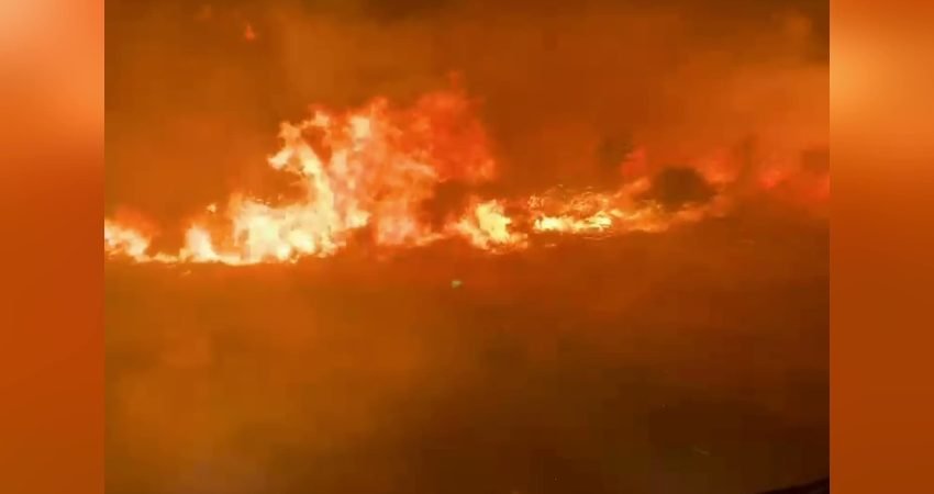 Diyarbakır’ın Lice ilçesine bağlı kırsal Karahasan, Yenişehir ve Muradiye mahallelerini