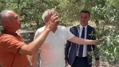 CHP Manisa Milletvekili Ahmet Vehbi Bakırlıoğlu, Akhisar'da etkili olan dolu