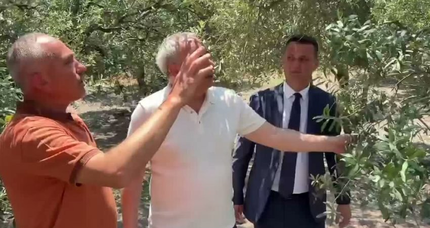 CHP Manisa Milletvekili Ahmet Vehbi Bakırlıoğlu, Akhisar'da etkili olan dolu