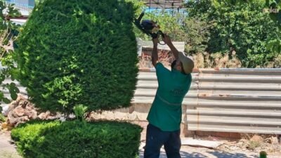 Efeler Belediyesi Park ve Bahçeler Müdürlüğü ekipleri, ilçe genelindeki parklar,