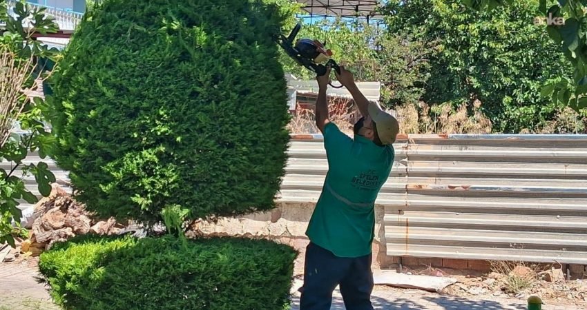 Efeler Belediyesi Park ve Bahçeler Müdürlüğü ekipleri, ilçe genelindeki parklar,