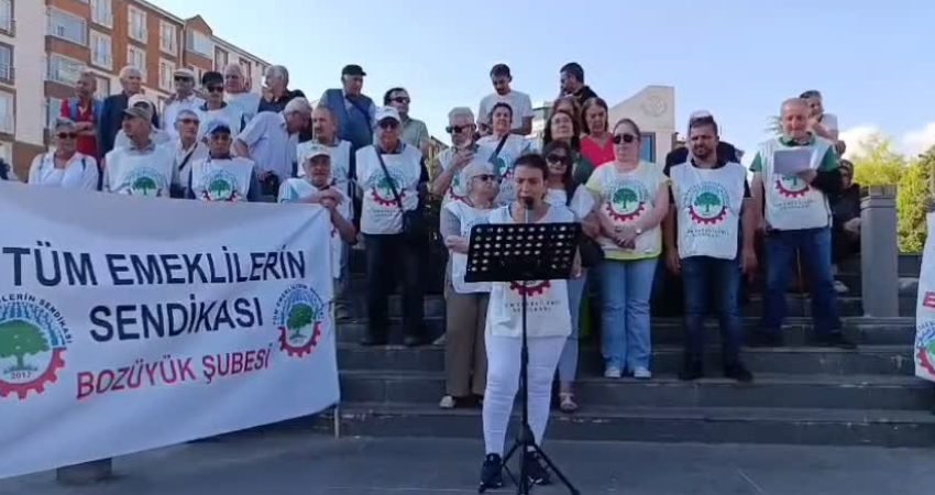 Bilecik’in Bozüyük ilçesinde Emekli Sendikaları Platformu üyeleri, emeklilerin yaşadığı ekonomik