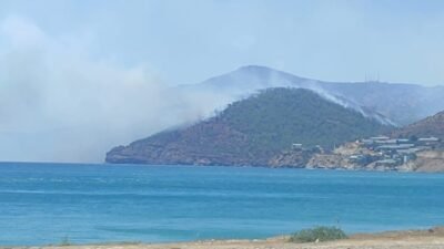 EMEP Genel Başkan Yardımcısı Sedat Başkavak, Mersin'in Aydıncık ilçesindeki yangın