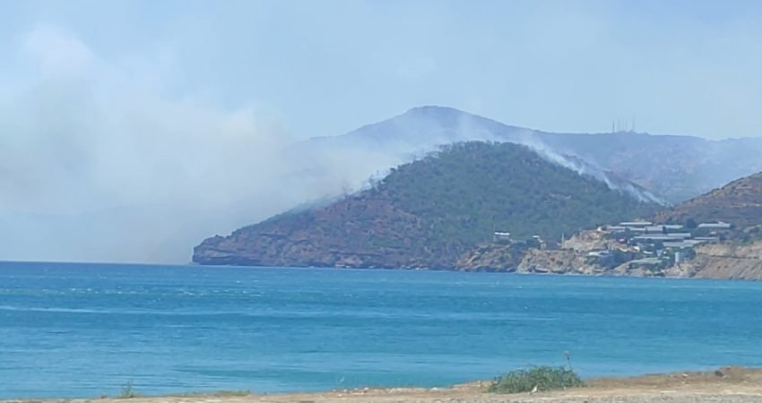 EMEP Genel Başkan Yardımcısı Sedat Başkavak, Mersin'in Aydıncık ilçesindeki yangın