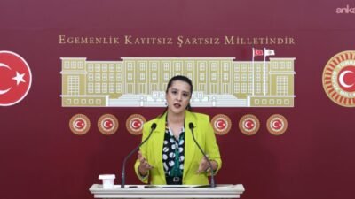 EMEP Gaziantep Milletvekili Sevda Karaca, Akdeniz kıyılarında artan mikroplastik kirliliğinin