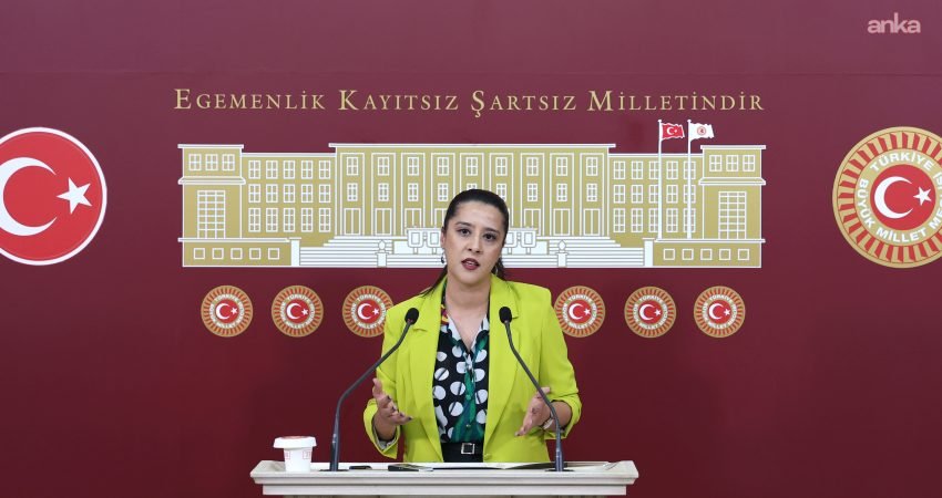 EMEP Gaziantep Milletvekili Sevda Karaca, Akdeniz kıyılarında artan mikroplastik kirliliğinin