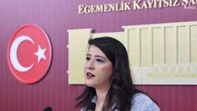 EMEP Milletvekili Sevda Karaca, TBMM'ye sunulan suça sürüklenen çocuklara ilişkin
