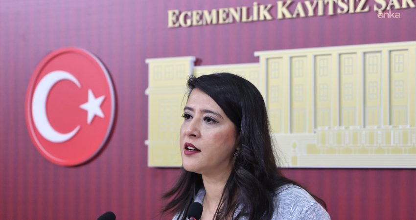 EMEP Milletvekili Sevda Karaca, TBMM'ye sunulan suça sürüklenen çocuklara ilişkin