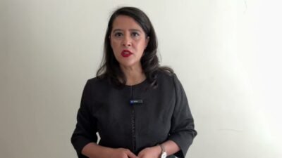 EMEP Gaziantep Milletvekili Sevda Karaca, Hizbullah terör örgütünün üst düzey