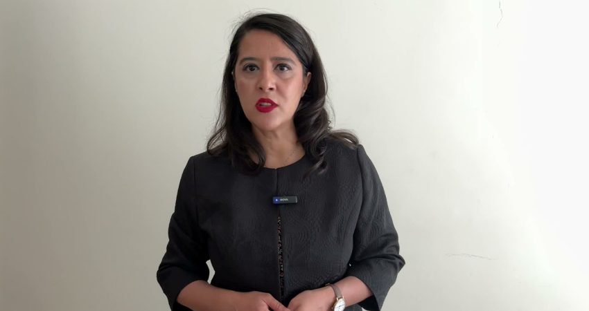 EMEP Gaziantep Milletvekili Sevda Karaca, Hizbullah terör örgütünün üst düzey