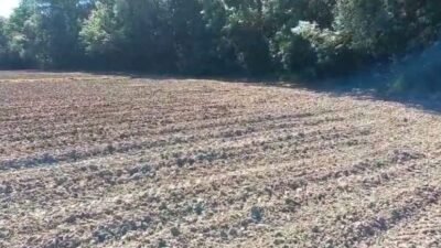 Sinop merkeze bağlı Hacıoğlu Köyü'nde çiftçilik yapan Murat Durgun, Erfelek Barajı'ndan