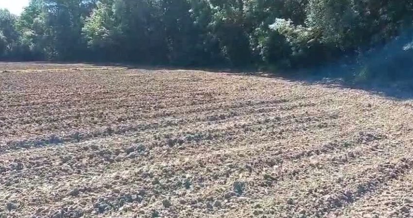 Sinop merkeze bağlı Hacıoğlu Köyü'nde çiftçilik yapan Murat Durgun, Erfelek Barajı'ndan