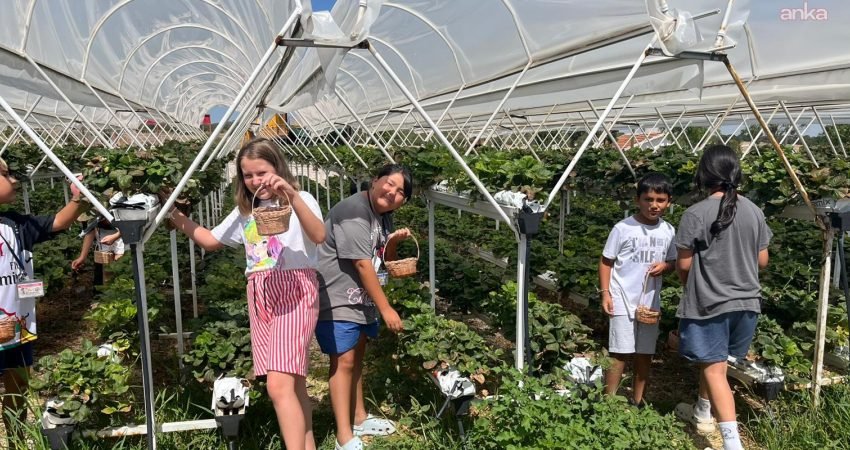 Eskişehir Büyükşehir Belediyesi Sanat Meslek Eğitim Kursları (ESMEK), çocukların doğayla