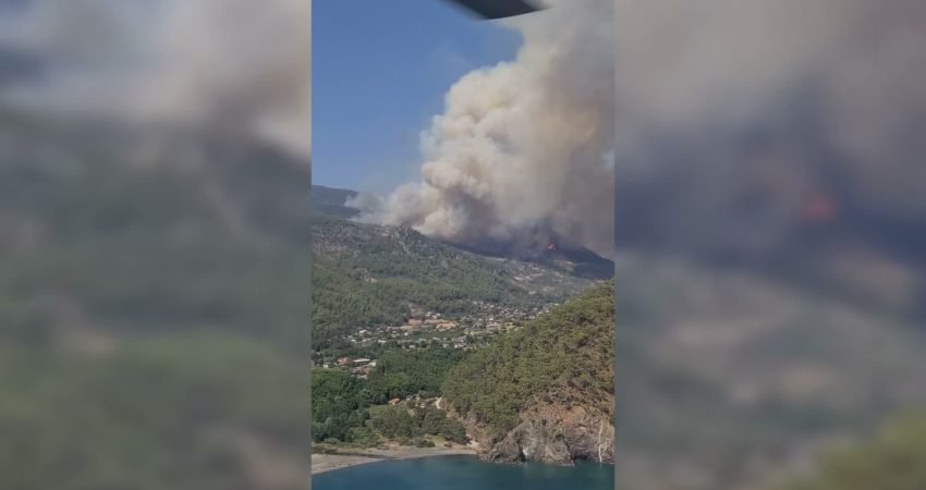 Muğla'nın Fethiye ilçesine bağlı Göcek Gökçeovacık Mahallesi yakınlarında çıkan orman