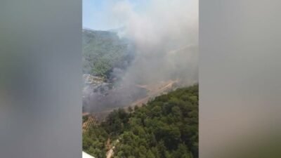 Muğla'nın Fethiye ilçesine bağlı Göcek Gökçeovacık Mahallesi yakınlarında çıkan orman