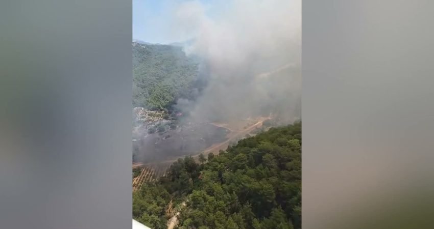 Muğla'nın Fethiye ilçesine bağlı Göcek Gökçeovacık Mahallesi yakınlarında çıkan orman