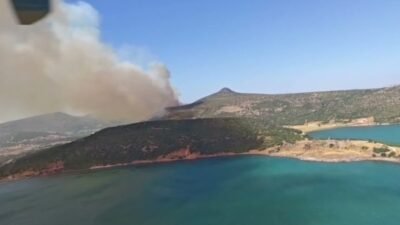 İzmir’in Foça ilçesi Atatürk Mahallesi’nde öğle saatlerinde çıkan orman yangınına