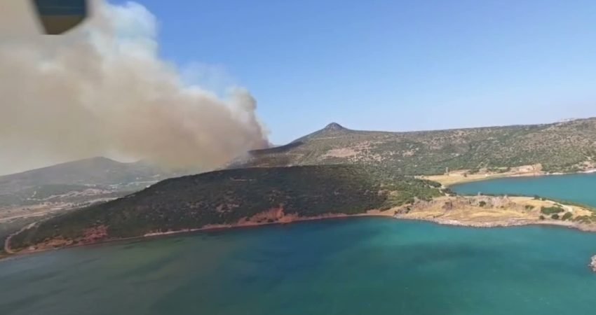 İzmir’in Foça ilçesi Atatürk Mahallesi’nde öğle saatlerinde çıkan orman yangınına
