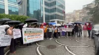 TMMOB Gıda Mühendisleri Odası, Danıştay 8. Dairesi'nin, Çalıştırılması Zorunlu Personel