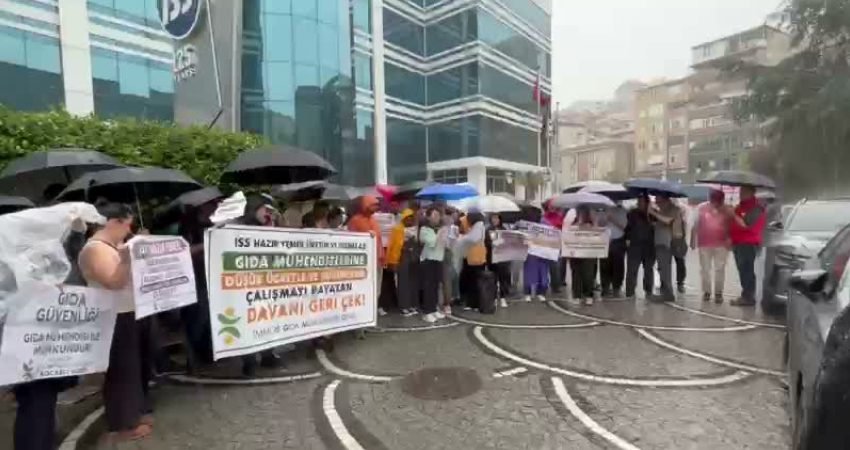 TMMOB Gıda Mühendisleri Odası, Danıştay 8. Dairesi'nin, Çalıştırılması Zorunlu Personel