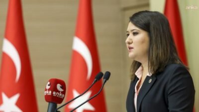 YENİ Parti İzmir Milletvekili Gökçe Gökçen, Gezi tutukluları Çiğdem Mater