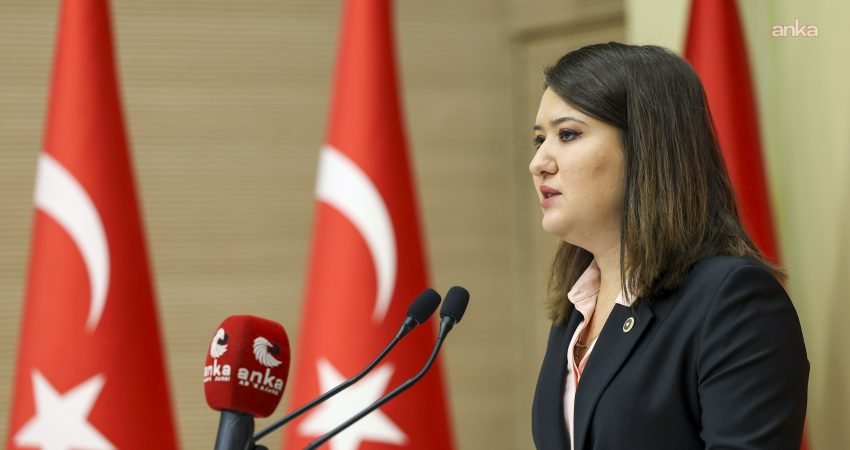 YENİ Parti İzmir Milletvekili Gökçe Gökçen, Gezi tutukluları Çiğdem Mater