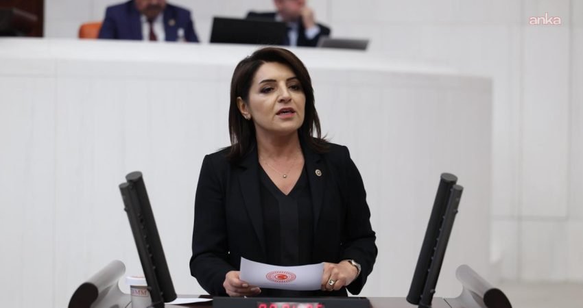 CHP Mersin Milletvekili Gülcan Kış, iktidarın ekonomi politikalarını eleştirerek "İktidar