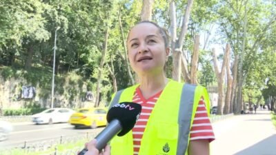 İBB, Dolmabahçe ve Çırağan caddelerindeki tarihi çınarları tehdit eden ve