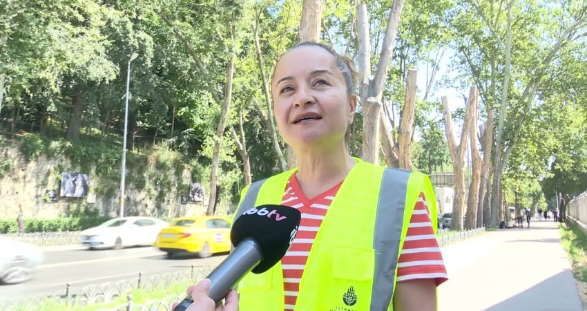 İBB, Dolmabahçe ve Çırağan caddelerindeki tarihi çınarları tehdit eden ve