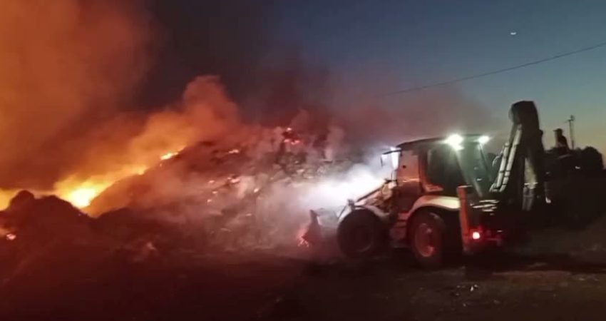 Iğdır merkeze bağlı Evci köyünde bir evin bahçesinde bulunan yaklaşık