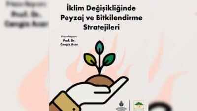 İBB iştiraki İstanbul Ağaç ve Peyzaj AŞ, küresel iklim krizine