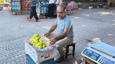 Osmaniye'nin Kadirli ilçesinde kilosu 300 lira, tanesi 42 lira olan