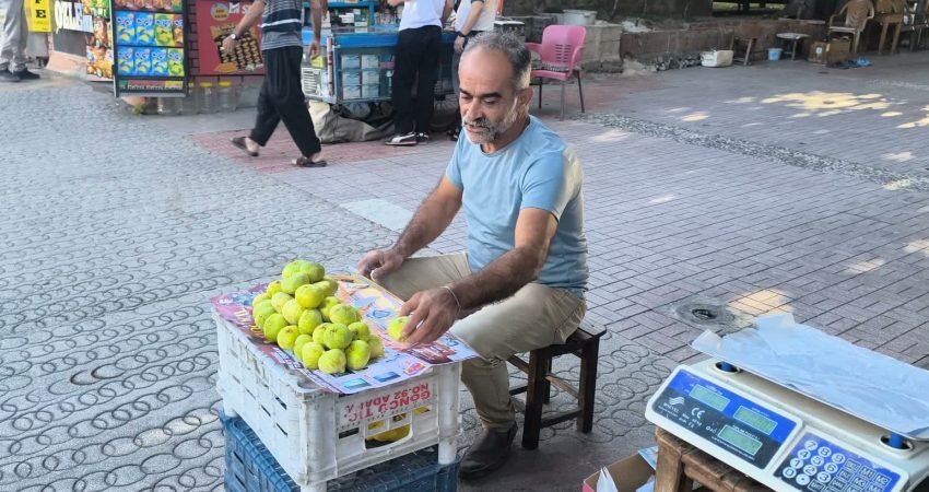 Osmaniye'nin Kadirli ilçesinde kilosu 300 lira, tanesi 42 lira olan