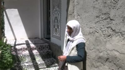 Hakkari’nin Yüksekova ilçesinde tek geçim kaynakları olan ineğin uçuruma yuvarlanarak
